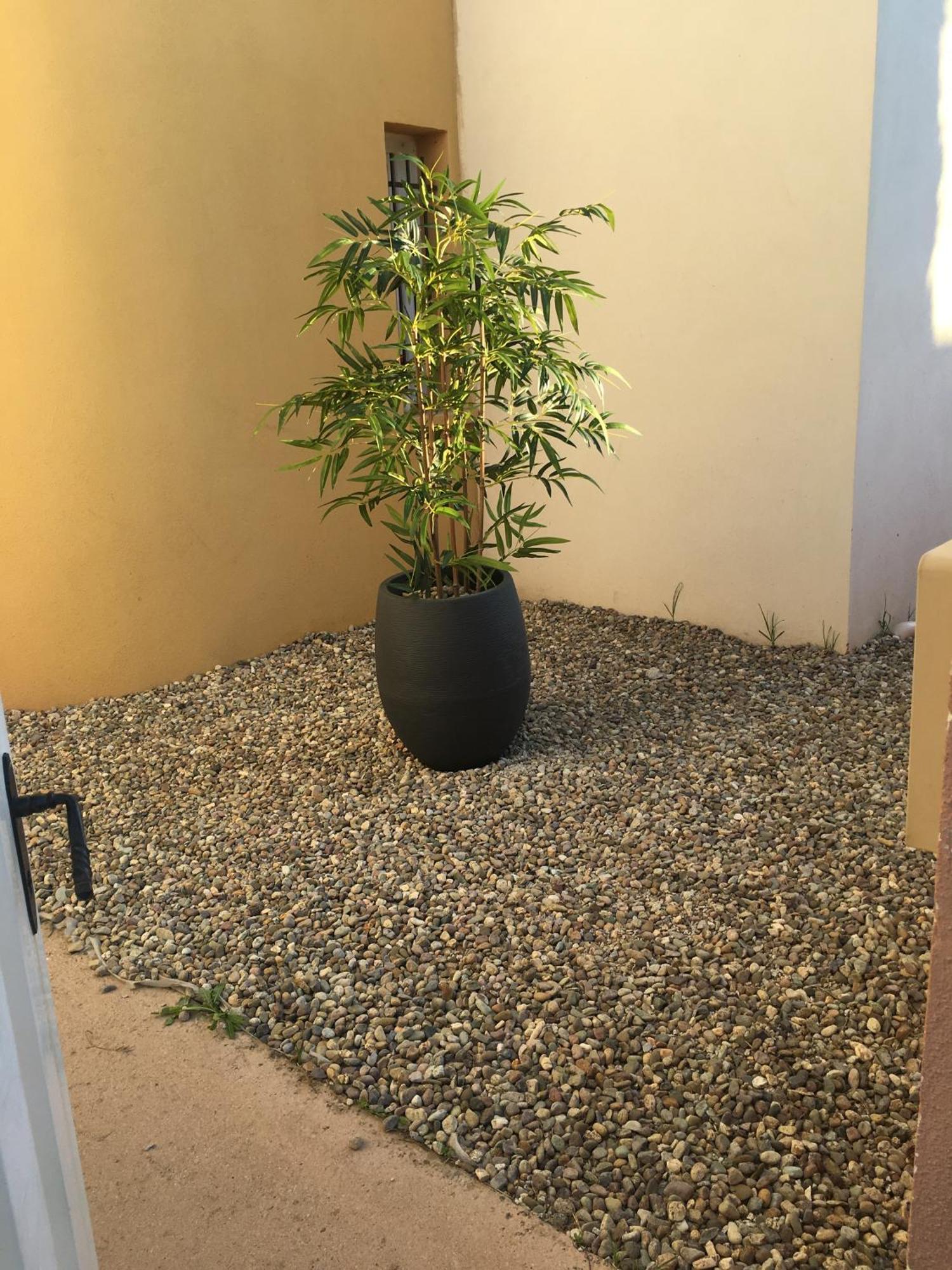 Holiday home T3 5p De 85m² Avec Jardin A Calvi Calvi (Corsica)
